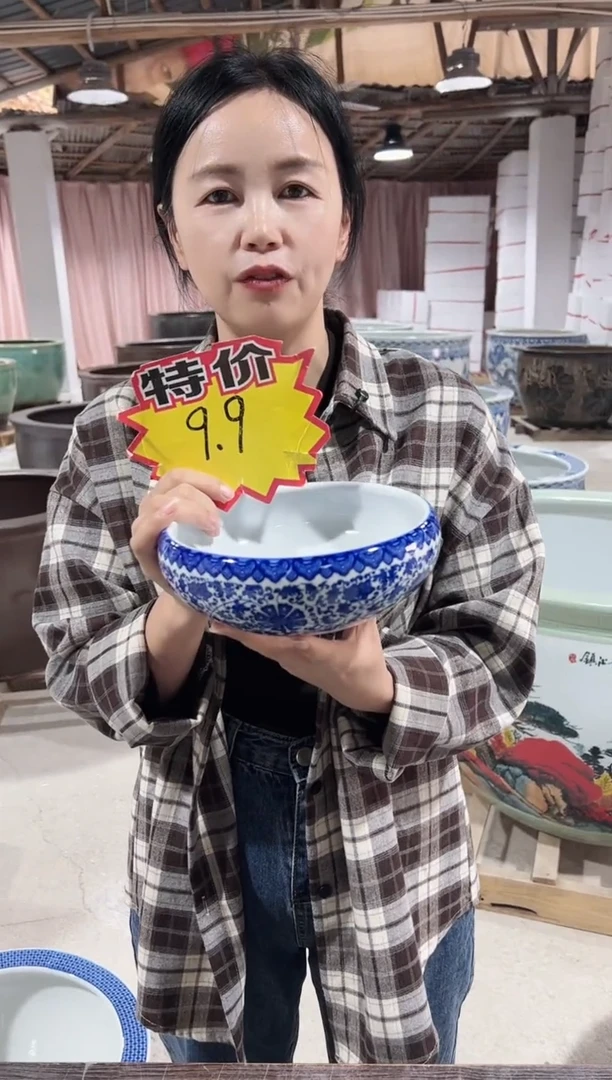 瓷片18直径青花缠枝莲........