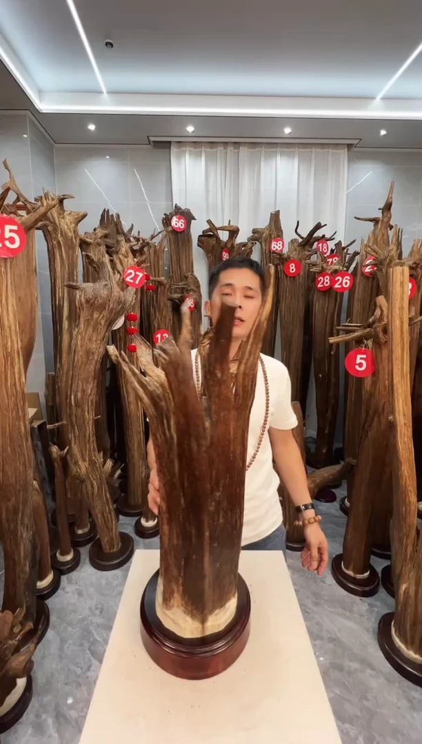 沉香沉香碎屑沉香原料