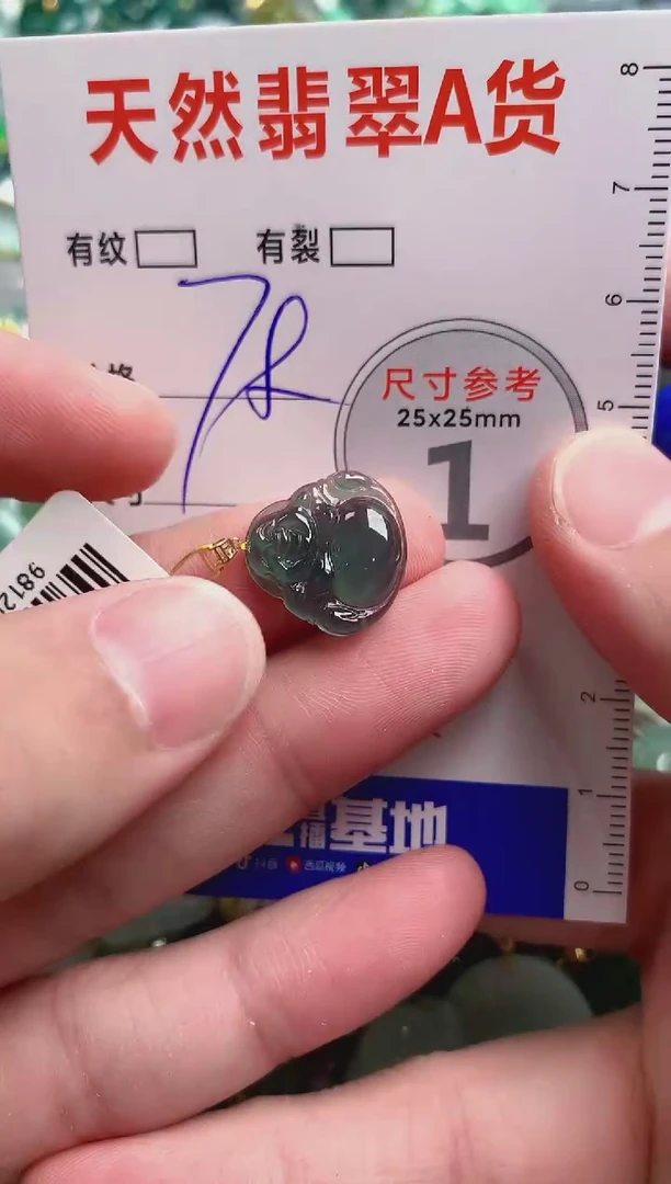 翡翠18K金镶嵌颈饰14004939