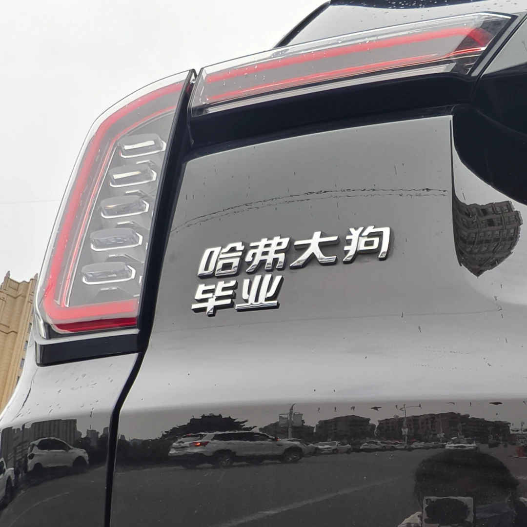哈弗大狗猛龙HM6H9汽车车贴原车材质3D立体ABS文字改装车标贴