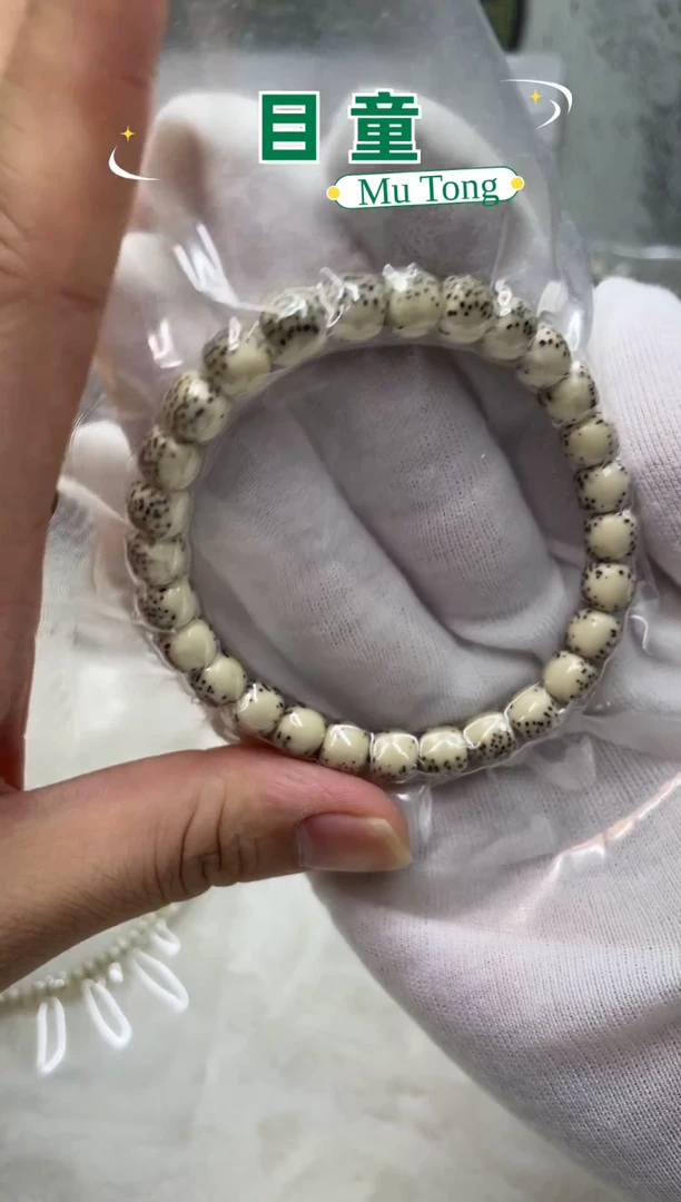 手串星月菩提海南星月菩提A1