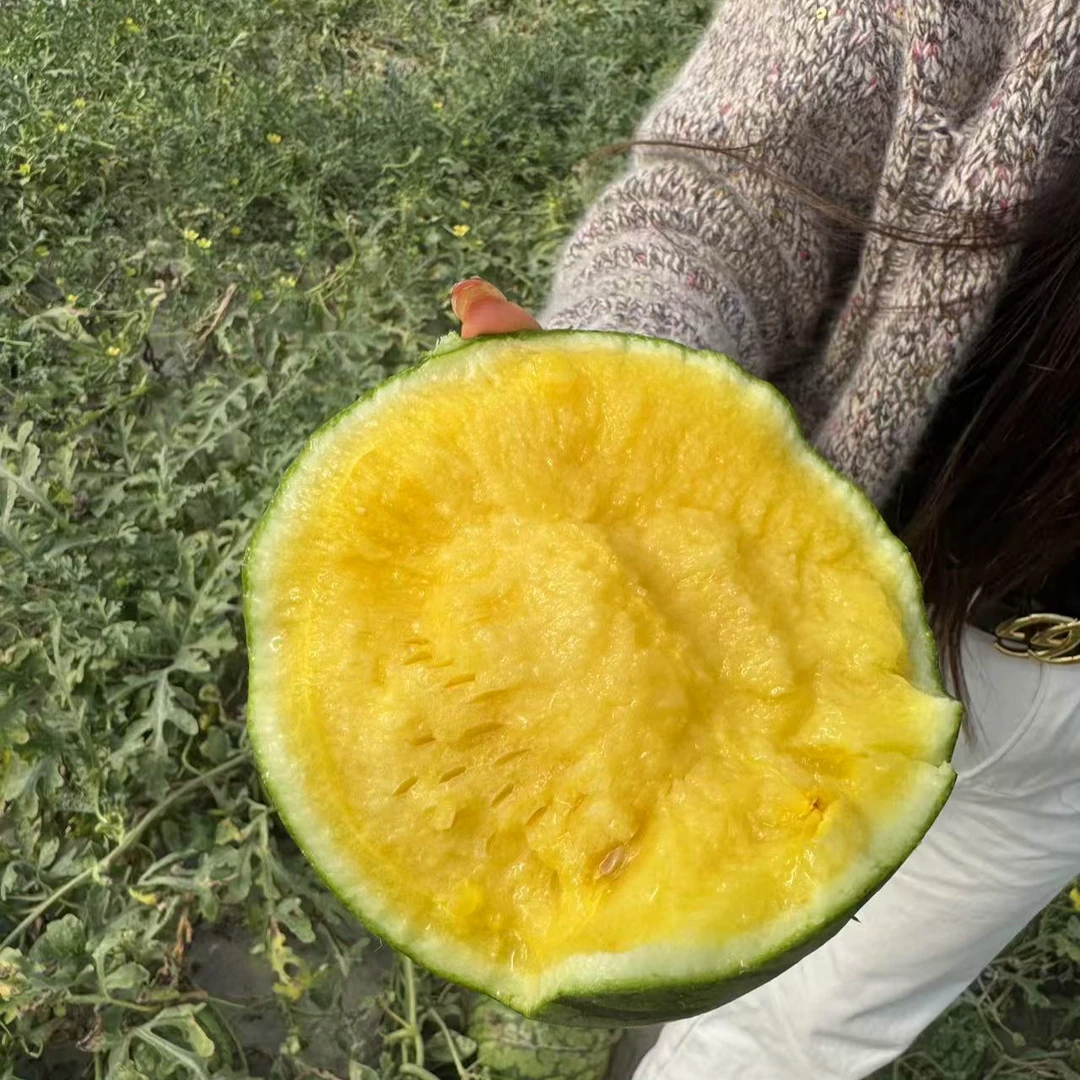 东台特小凤脆甜新鲜多汁冰淇淋黄心西瓜薄皮整箱送礼现发现摘新鲜