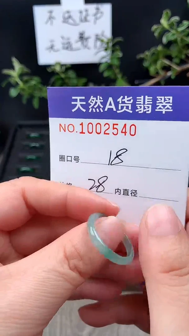 未镶嵌戒指翡翠18#