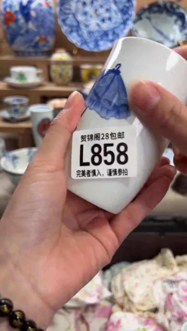 瓷片用****3      L858