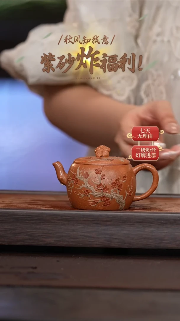 茶壶紫砂原矿紫砂茶壶12