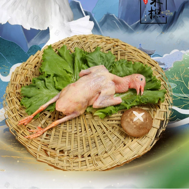 沂蒙山杂粮土鸽子活鸽宰杀顺丰发货5-7