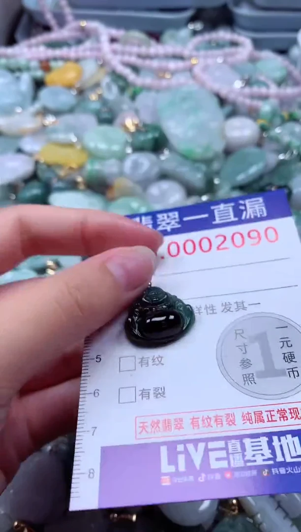 翡翠未镶嵌吊坠(不含链)2090