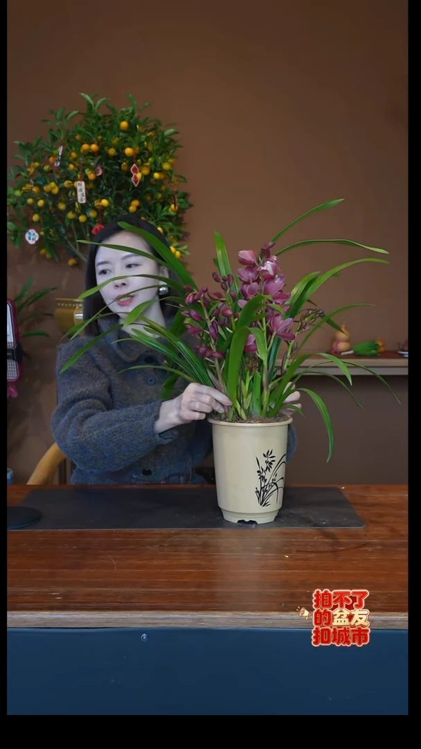 全部花朵红宝石杏色