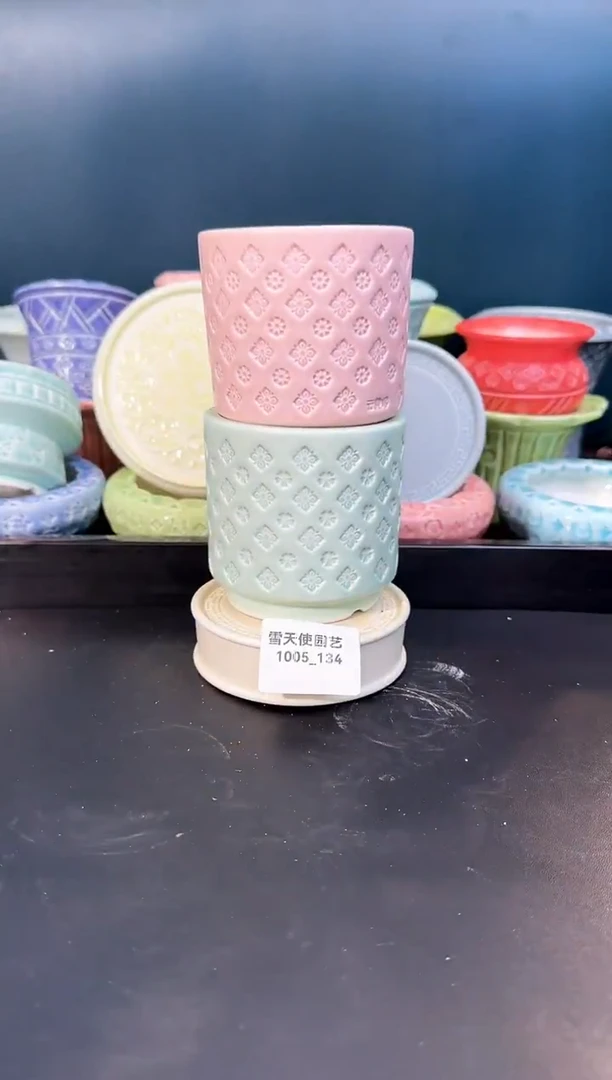 1005- 134云霓瑶 7口 2个默认微瑕