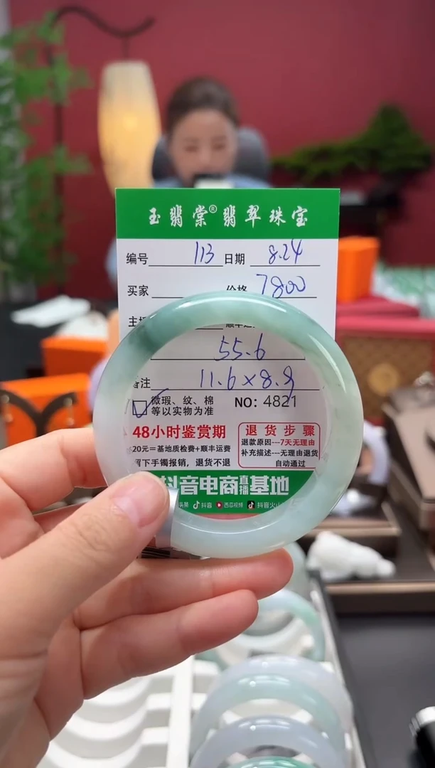 未镶嵌手镯翡翠翡翠113