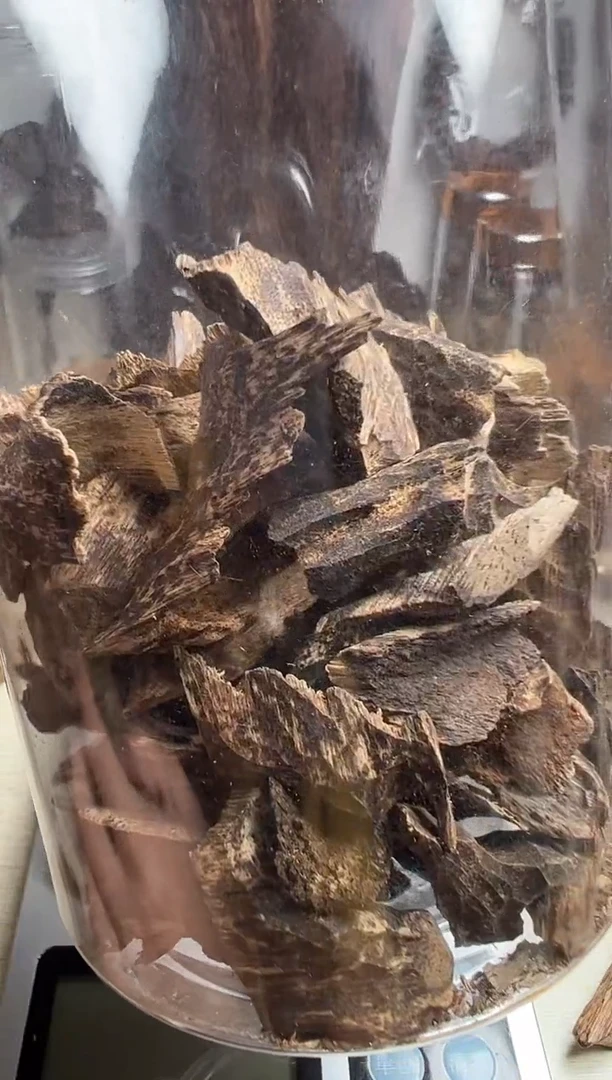 沉香沉香碎屑芽庄沉香壳料50克多样性