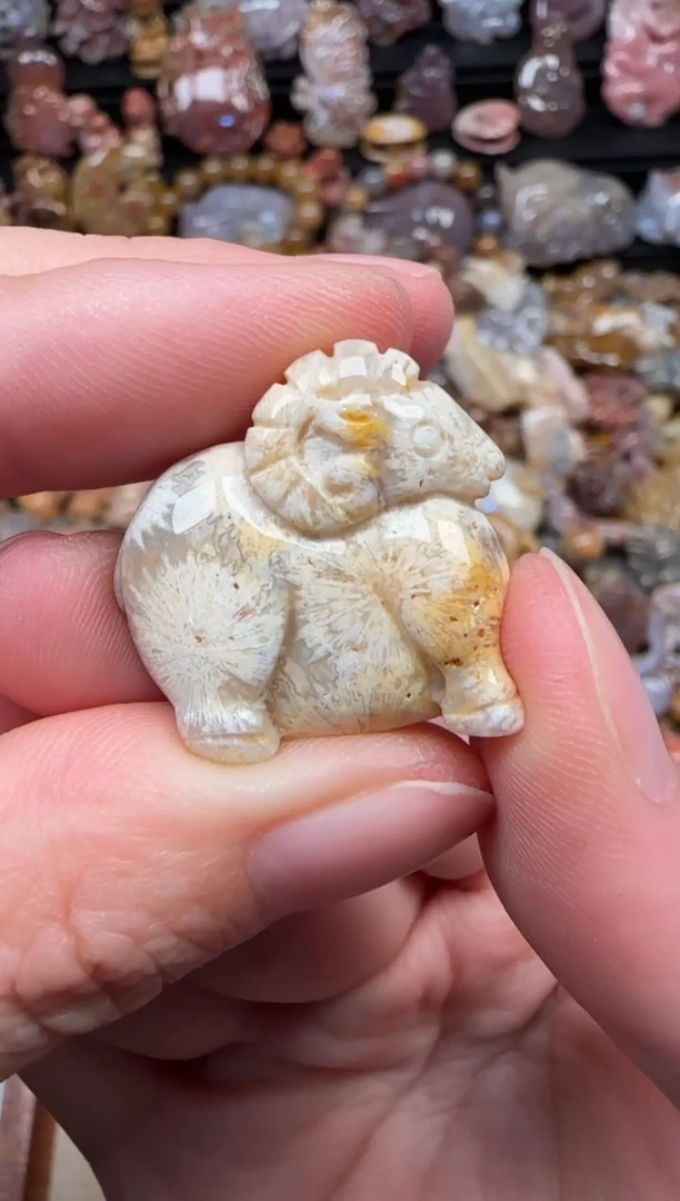 颈饰未镶嵌硅化珊瑚（珊瑚玉）348