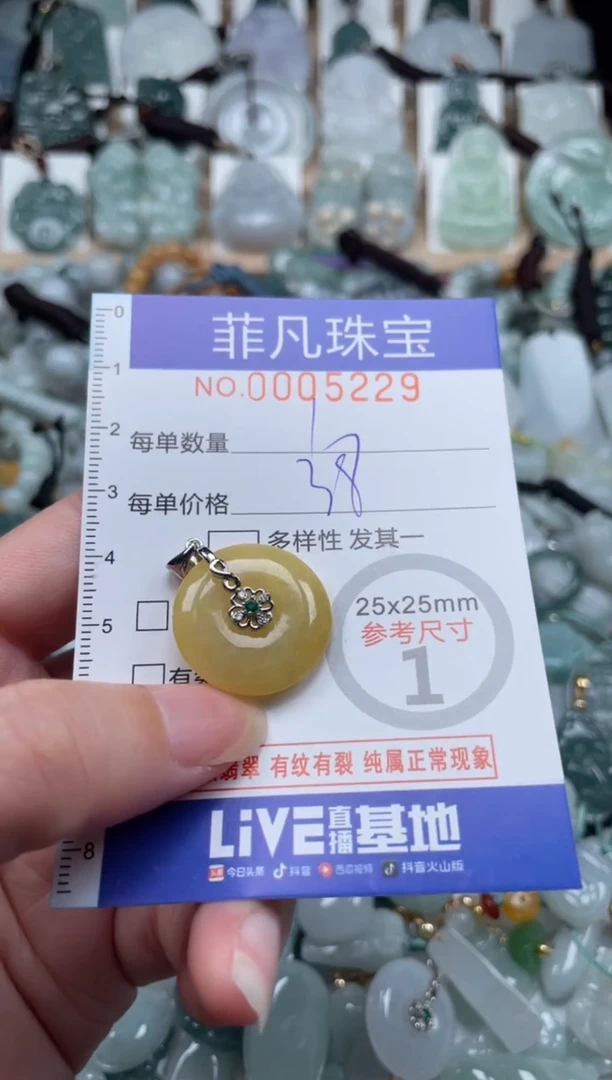 翡翠未镶嵌颈饰00..5229