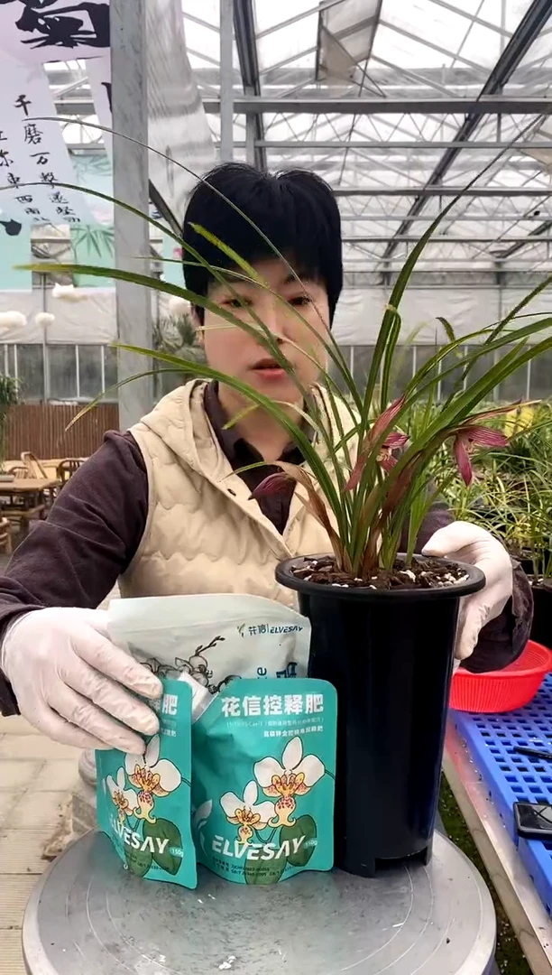 【闪购商品】花信三件套