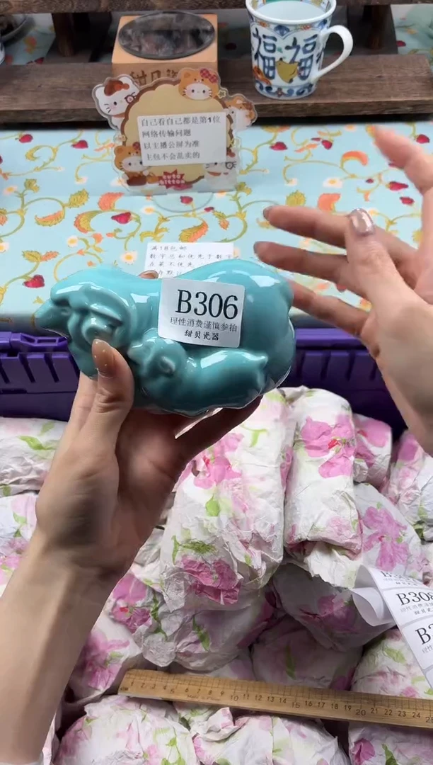 瓷片S****?                B306