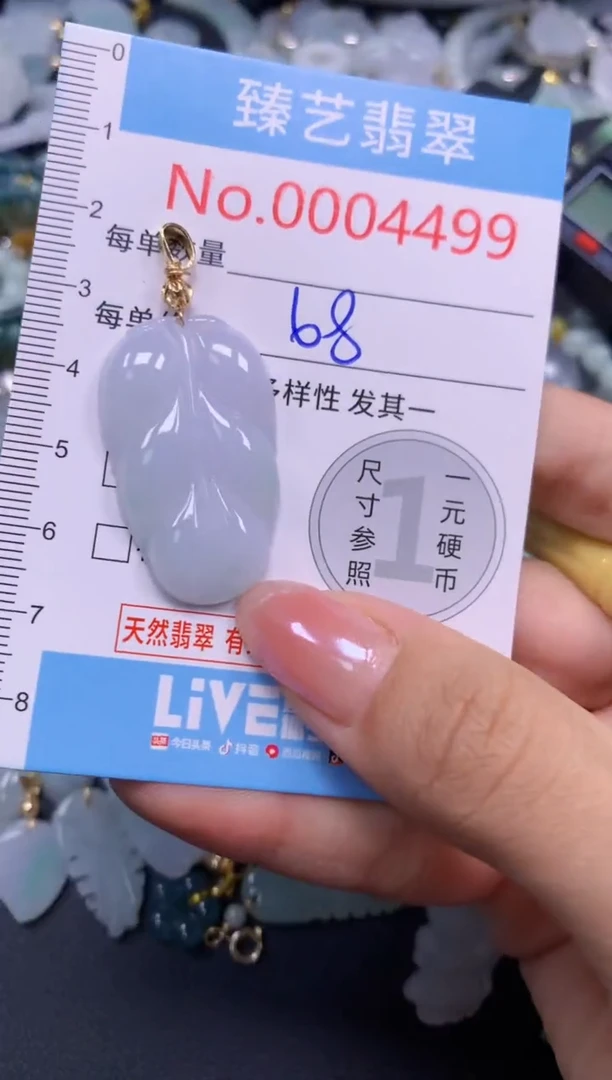 颈饰未镶嵌翡翠4499