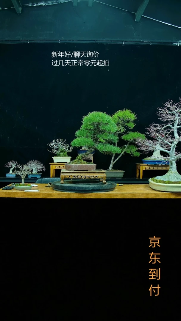 【闪购商品】00000