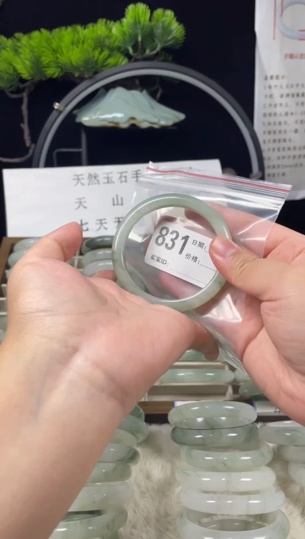 未镶嵌手镯石英质玉（天山翠）831