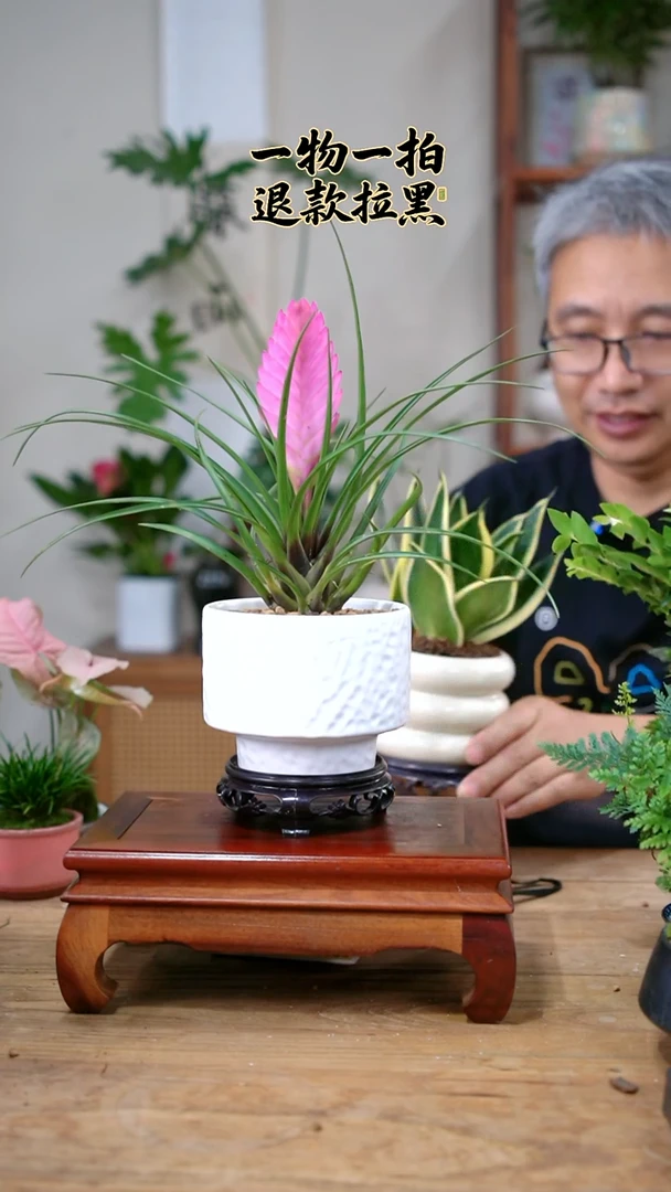 完全开放柒**r117铁兰