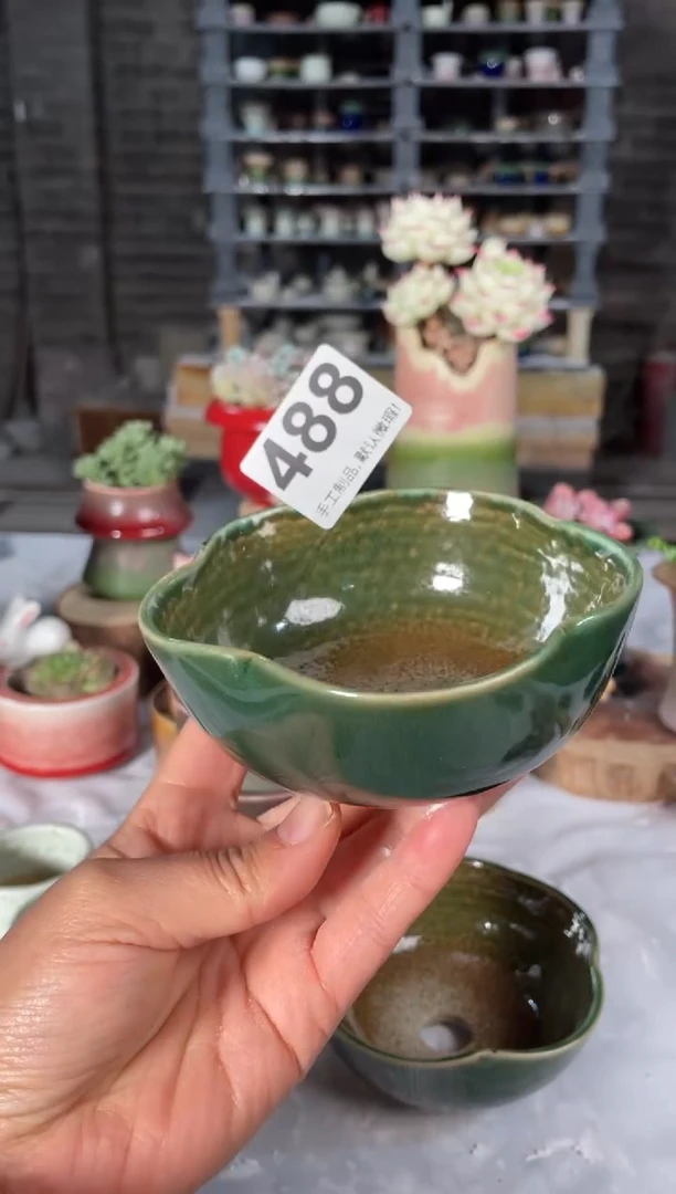 瓷片488小芳直播编号