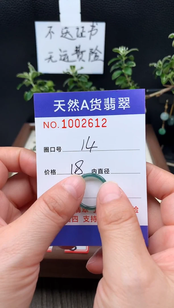未镶嵌戒指翡翠14#