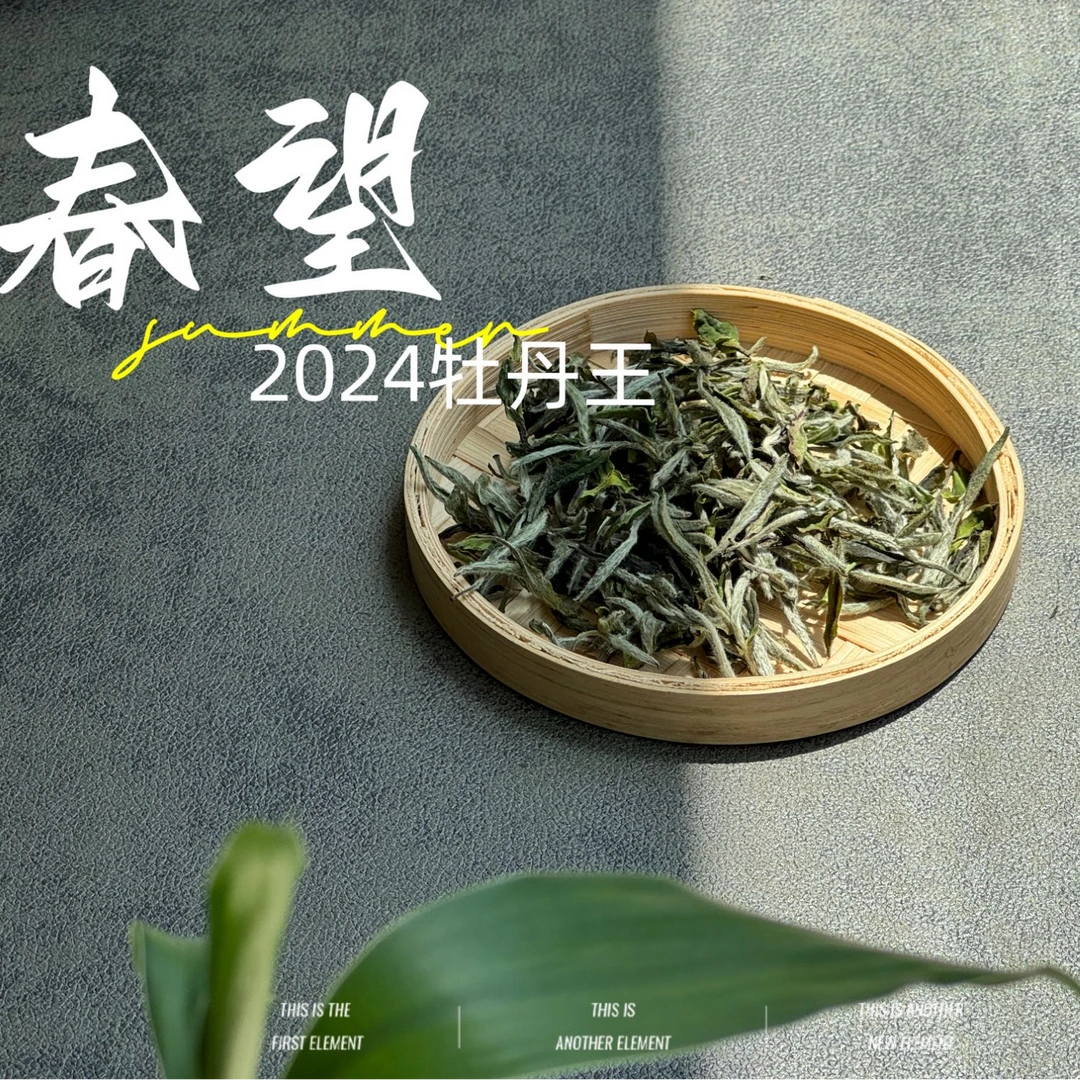 2024牡丹王，白毫多，做好仅几天茶汤就生成3个月才有的糯感
