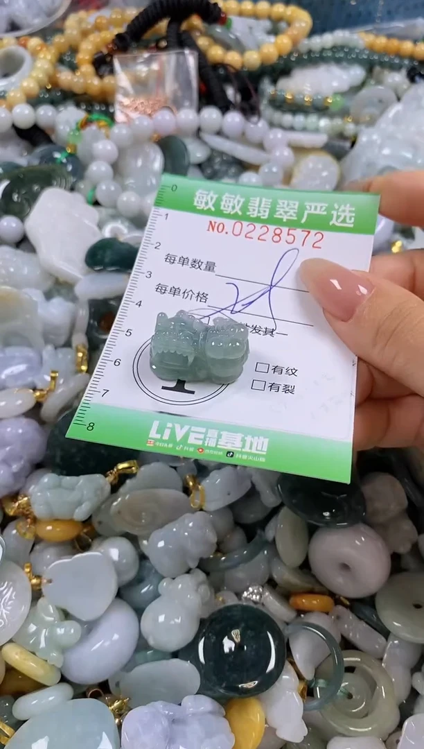 翡翠未镶嵌颈饰闪购0228572多样性发其一