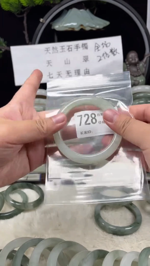 未镶嵌手镯石英质玉（天山翠）728