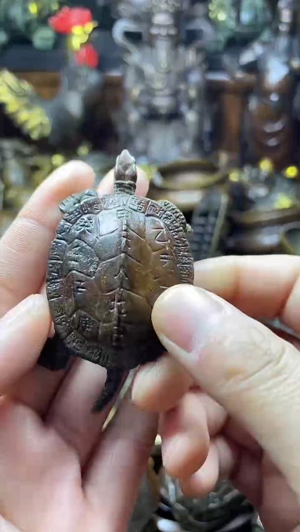 闪购链接，点击下单，有运费险