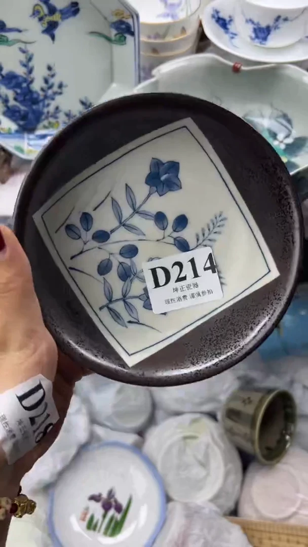 瓷片          D214