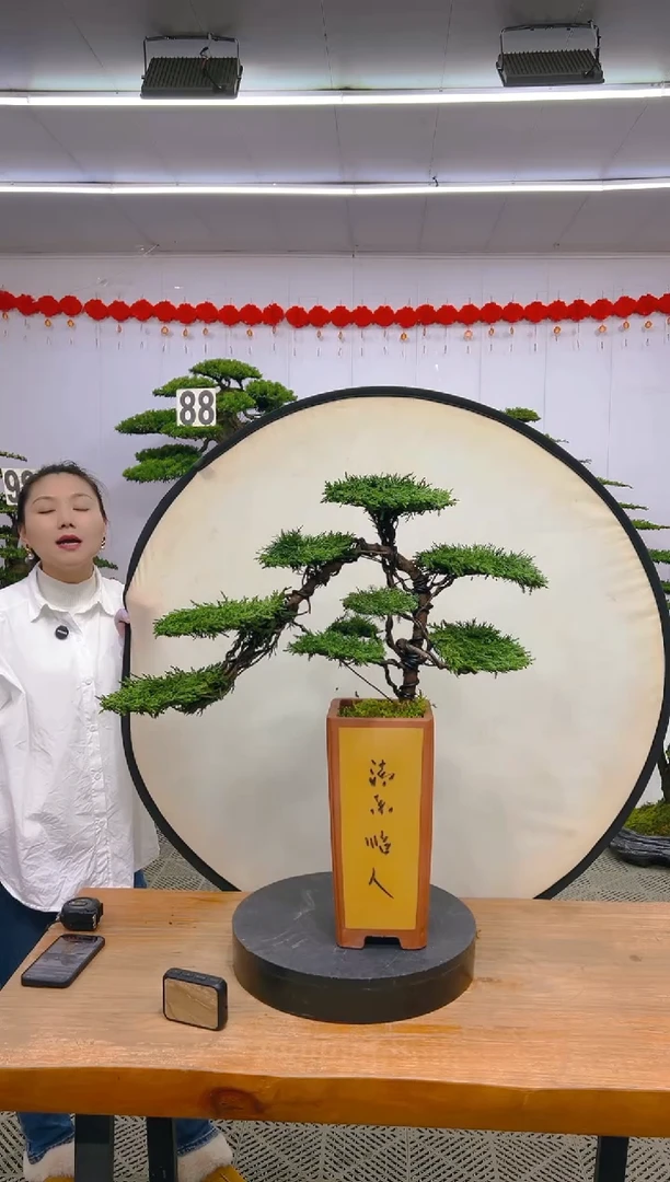 【闪购商品】盆景1