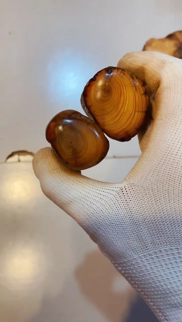 柏木（崖柏）35太行崖柏陈化手把手串