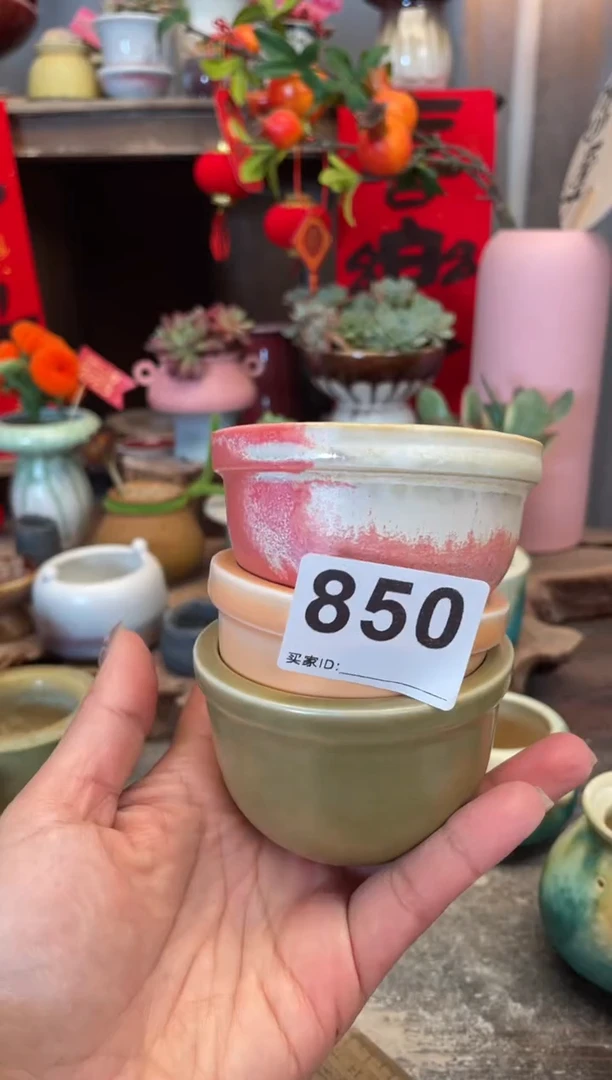 【闪购商品】摆件850知木小芳花盆