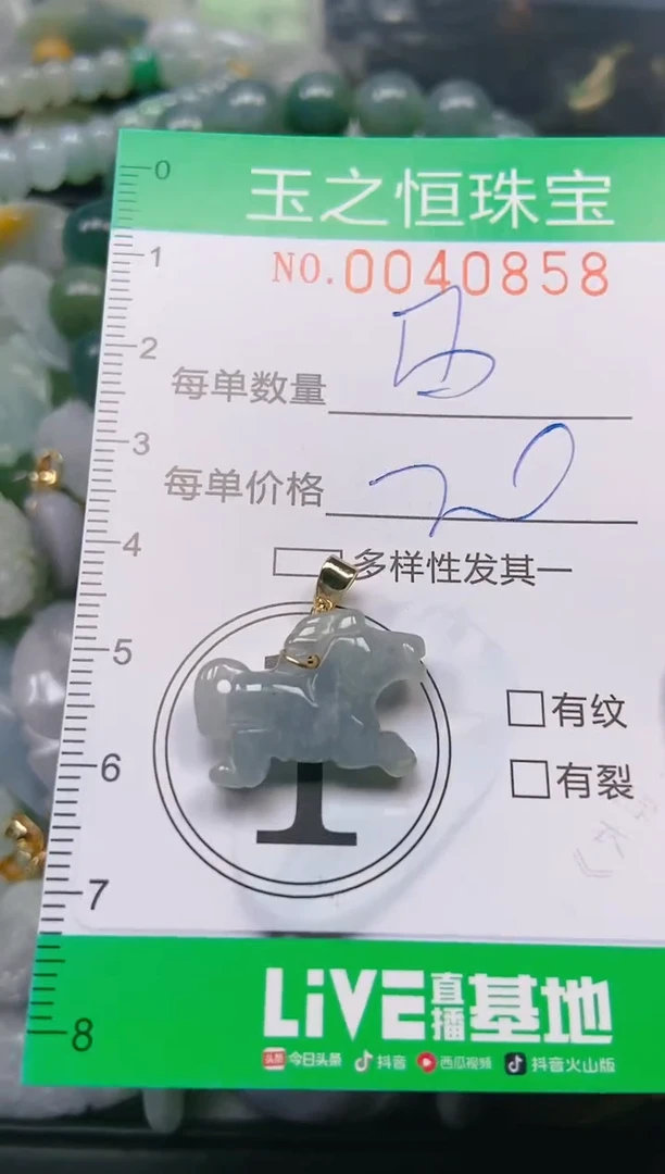 【闪购商品】翡翠颈饰未镶嵌闪购0040858