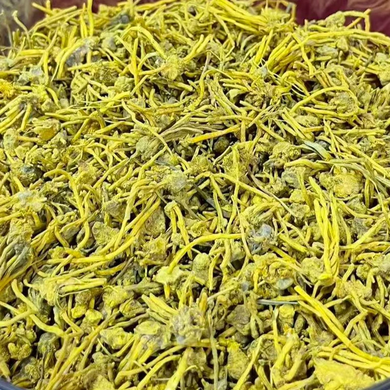 周年庆典-龙须石斛-精选边境核心产区