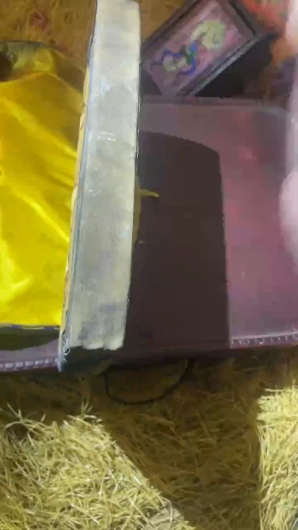 香榧木（1个黑本本）