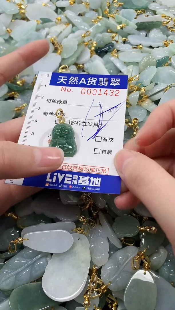 颈饰未镶嵌翡翠天然a货翡翠