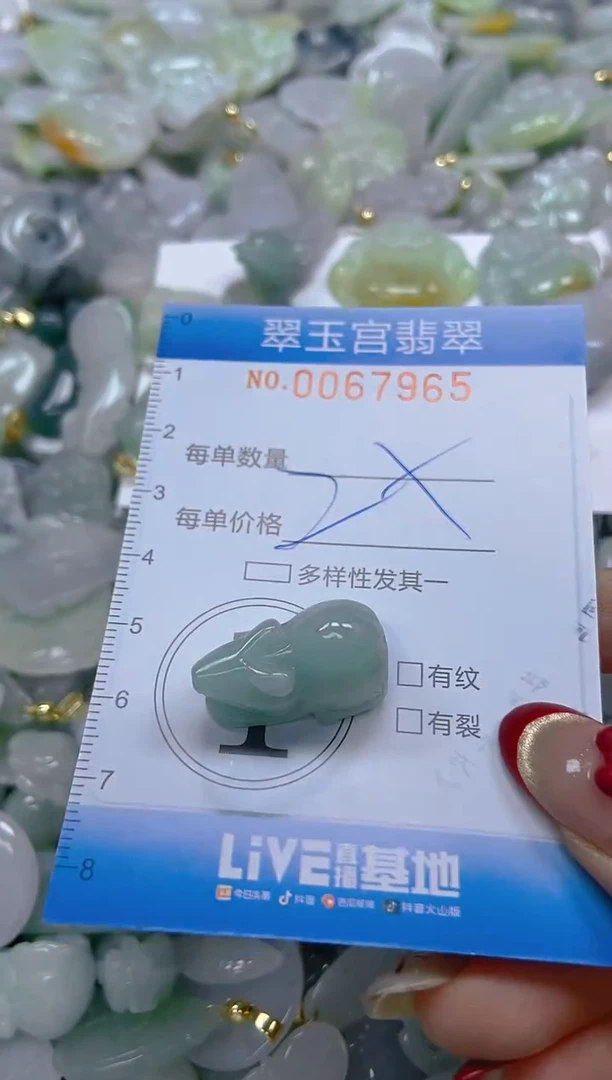 【闪购商品】翡翠颈饰未镶嵌闪购0067965