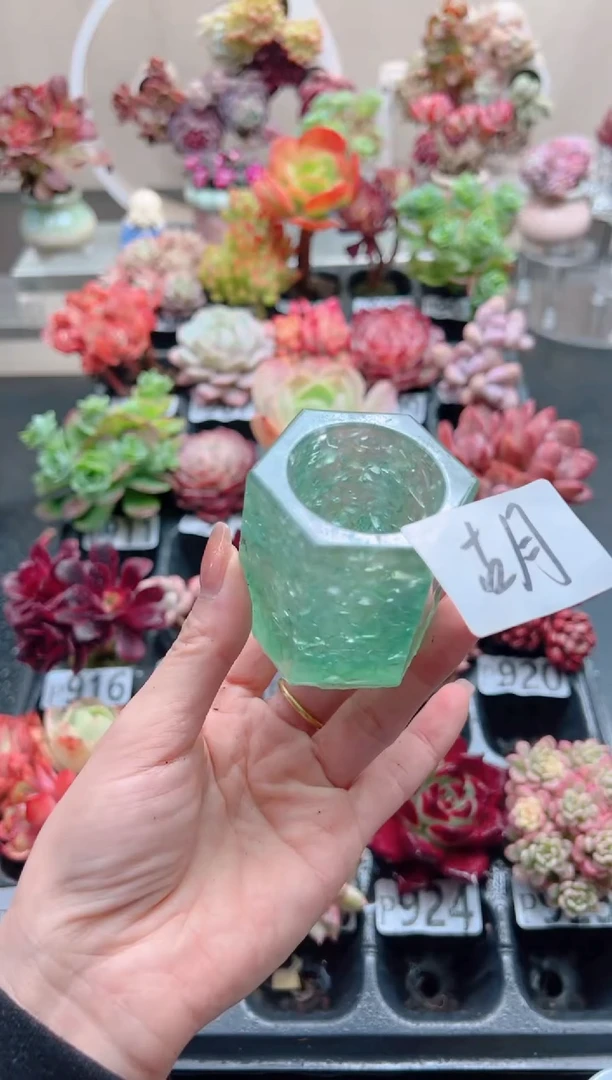 【闪购商品】水绿色六边盆