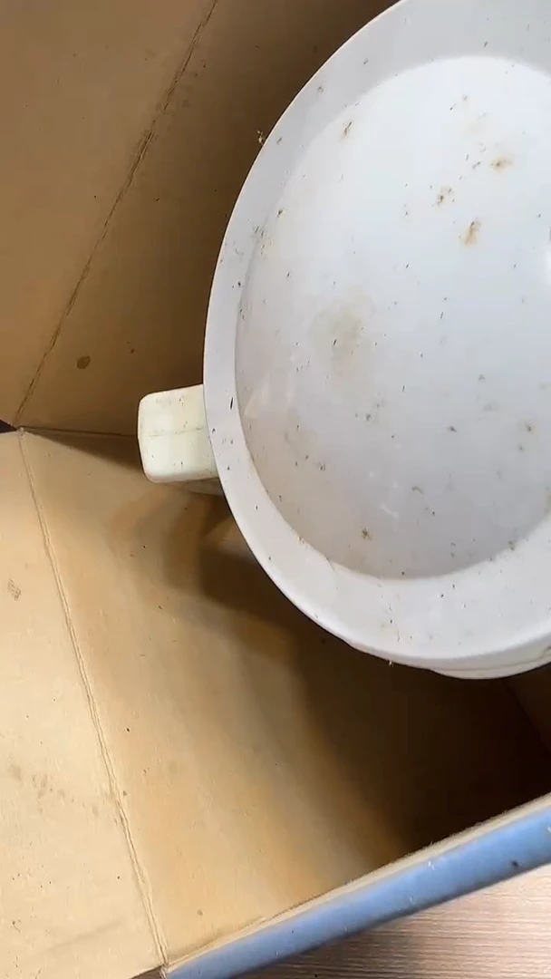 我****火671墨樱社专属定闪链接瓷