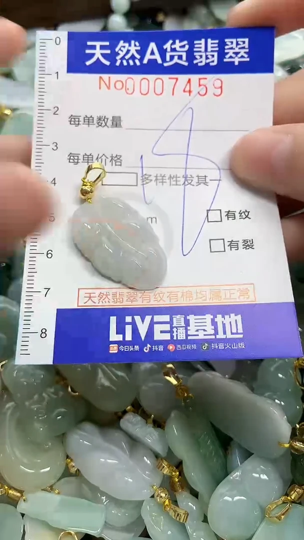 颈饰未镶嵌翡翠天然A货翡翠