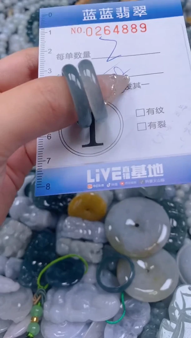 翡翠未镶嵌颈饰闪购0264889多样性发其一