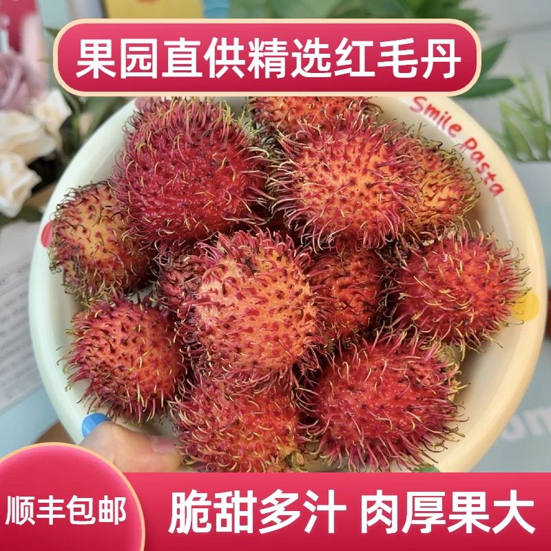 红毛丹1-5斤大果果园直供爆甜多汁现摘现发当季新鲜红毛丹水果