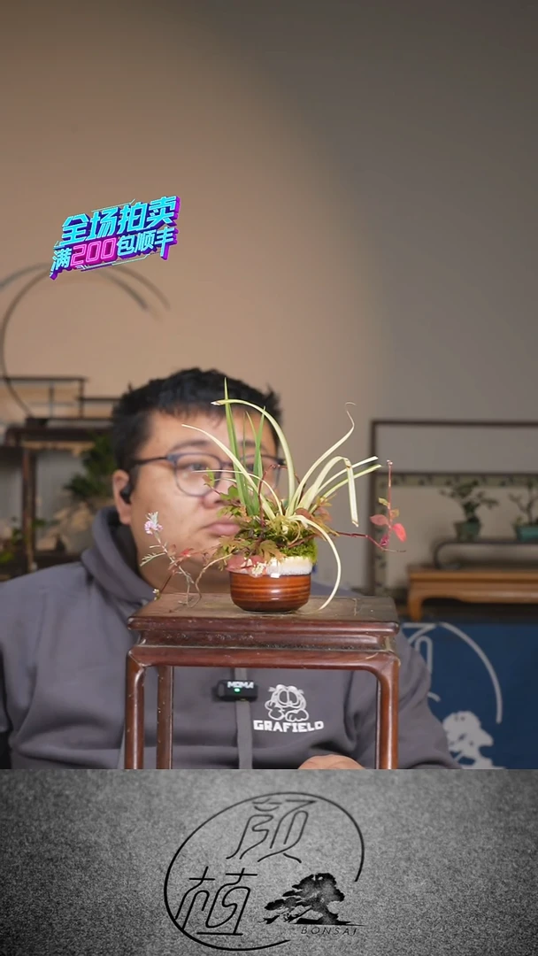 无花朵014   草本植物 顺丰到付