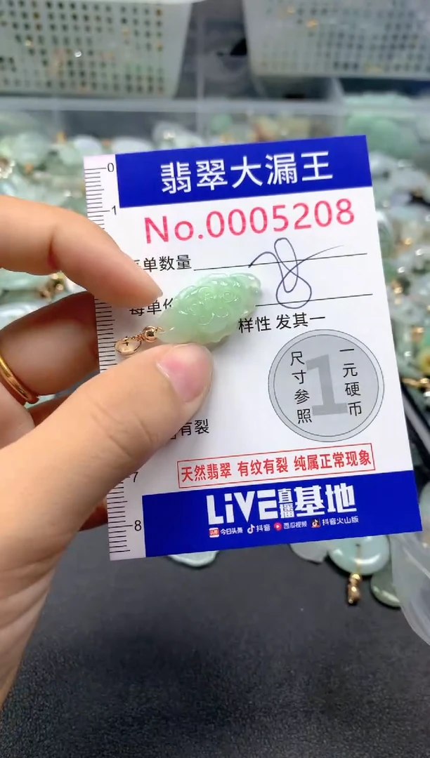 颈饰未镶嵌翡翠5208