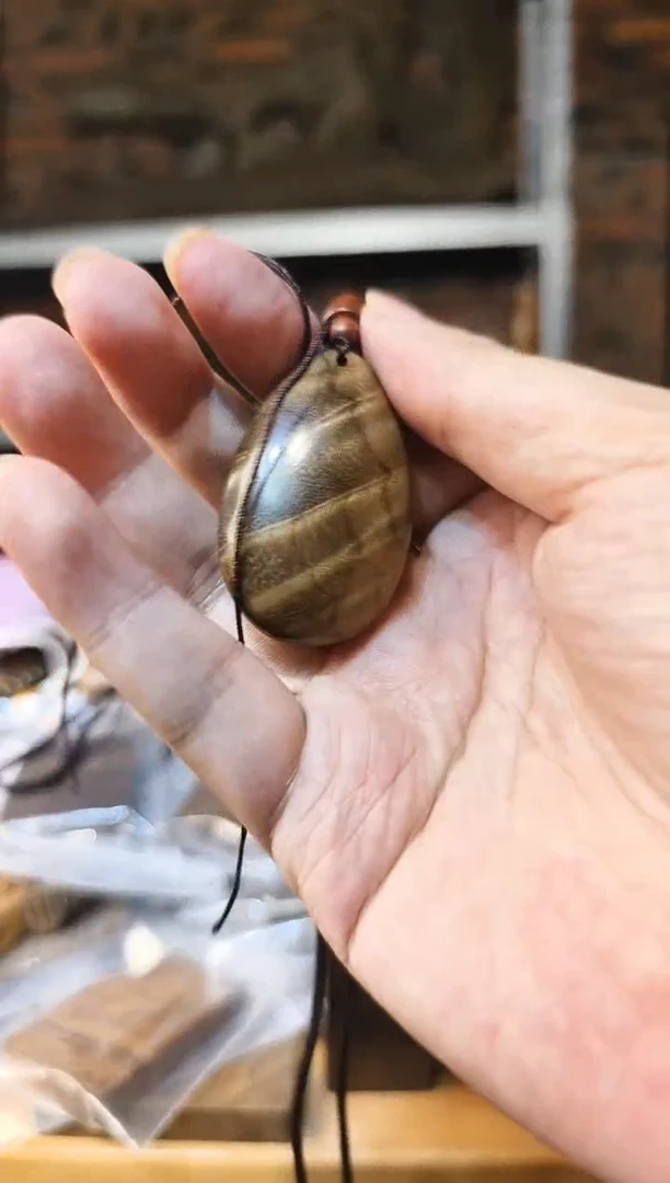 楠木（金丝楠）把件雨滴脖挂