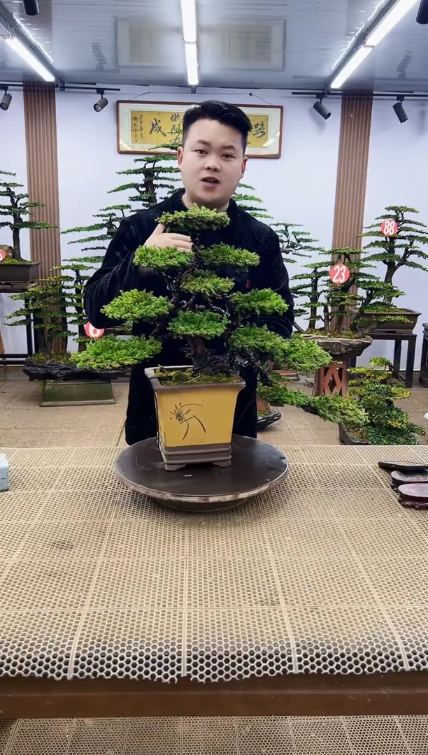 【闪购商品】000000000