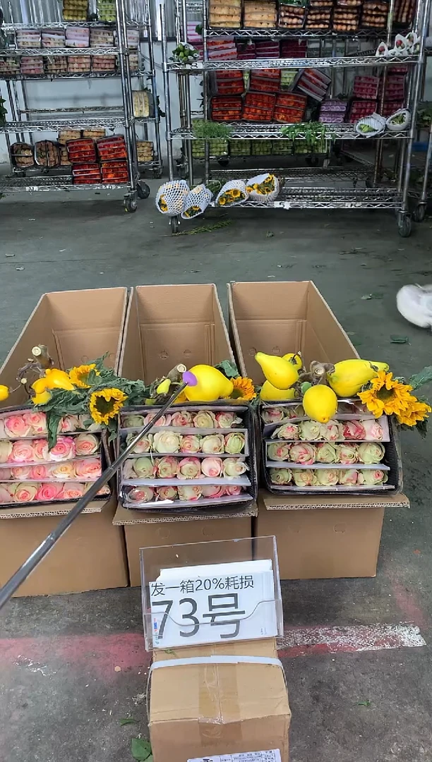 73号♥中通含20%耗损发一箱