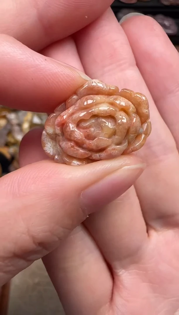 颈饰未镶嵌硅化珊瑚（珊瑚玉）241