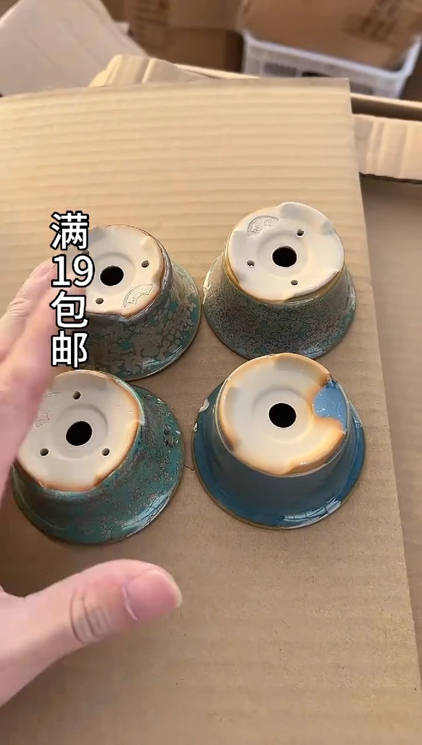 西**光59号大瑕福利